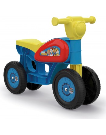 MINI CUSTOM PAW PATROL