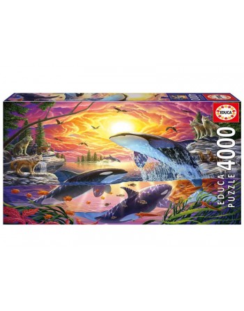 4000 ORCAS Y LOBOS