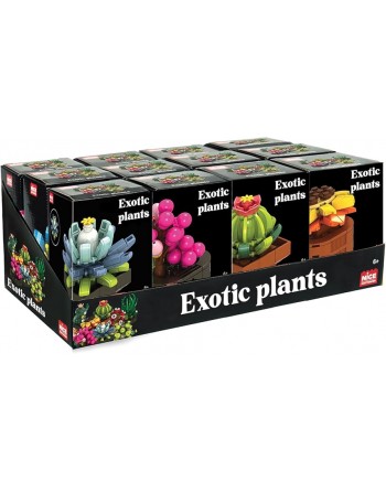 PLANTAS EXOTICAS