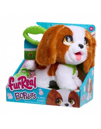 FURREAL POOP A LOTS REY...