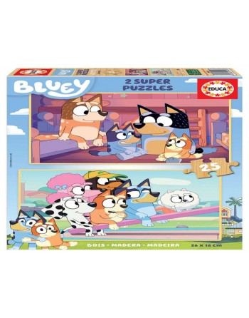 2X25 BLUEY FSC (R)