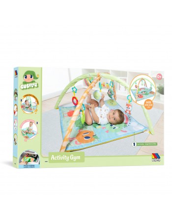 ACTIVITY GYM
