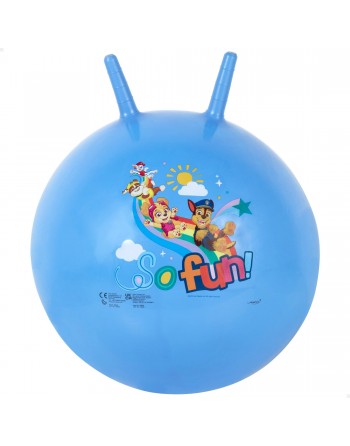 PAW PATROL - PELOTA...