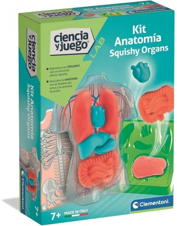 ANATOMIA SQUISHY ORGANOS